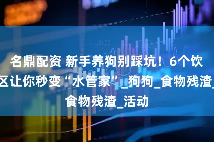 名鼎配资 新手养狗别踩坑！6个饮水误区让你秒变“水管家”_狗狗_食物残渣_活动