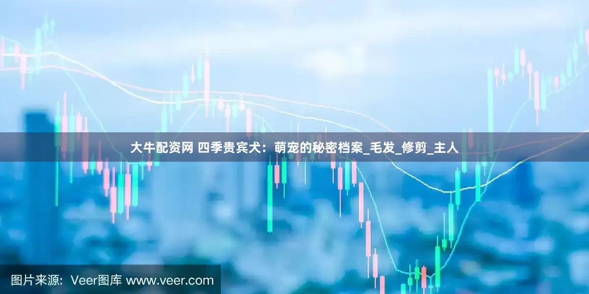 大牛配资网 四季贵宾犬：萌宠的秘密档案_毛发_修剪_主人