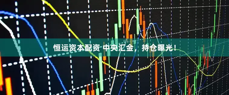 恒运资本配资 中央汇金，持仓曝光！