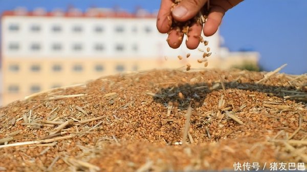 富明配资 油价180°大变！5月7日：调价后92,95号汽油价格，麦价波动下跌