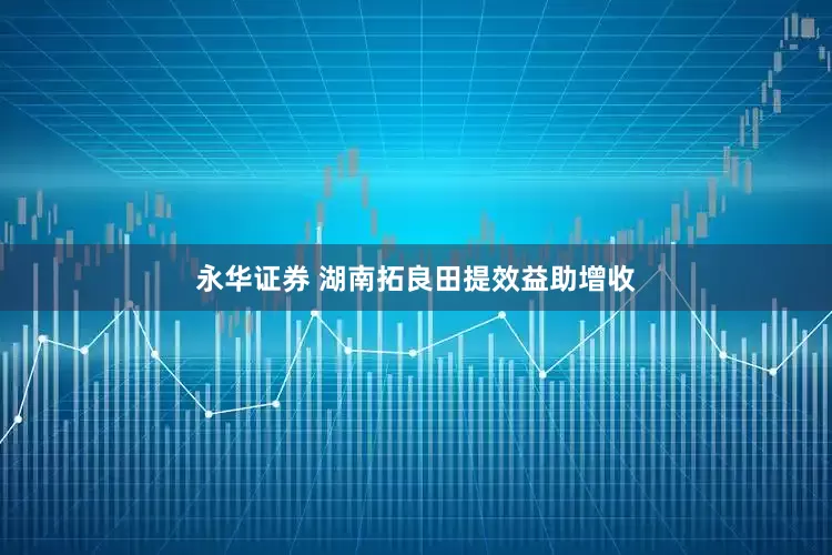 永华证券 湖南拓良田提效益助增收