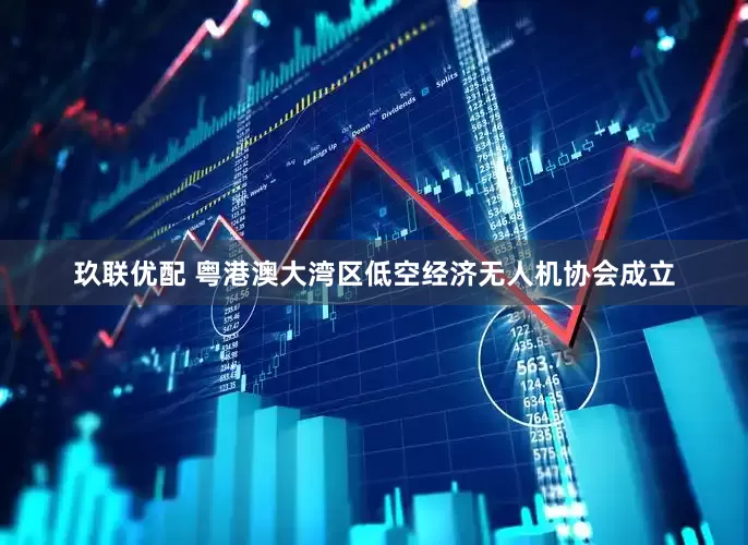 玖联优配 粤港澳大湾区低空经济无人机协会成立