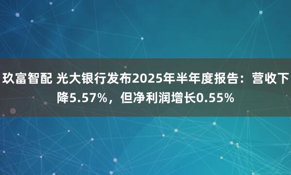 玖富智配 光大银行发布2025年半年度报告：营收下降5.57%，但净利润增长0.55%